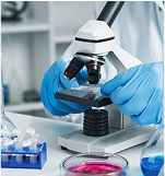 https://ptcsaudia.com/wp-content/uploads/2025/07/image-56.png